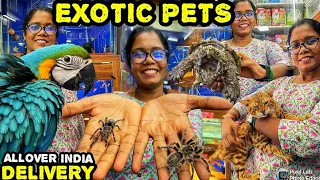 திகிலூட்டும் EXOTIC PETS  IN KARNATAKA AQUARIUM | Bengaluru