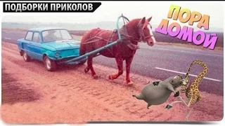 Я РЖАЛ ДО СЛЁЗ С ЭТОЙ НАРЕЗКИ ПРИКОЛОВ 2016 СМОТРЕТЬ ВСЕМ fun