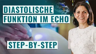 Schritt für Schritt Anleitung Echo: diastolische Funktionsprüfung