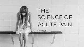 The Science of Acute Pain