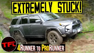 A Bone-Stock Toyota 4Runner Takes on Tumbleweed. It Does Not Go Well! Can We Even Get It Unstuck?