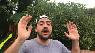 Liberal Redneck - And Justice for Paul