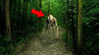 15 Scary Ghost Videos That Will Leave You Worried