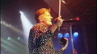 Falco   Purkersdorf 1994