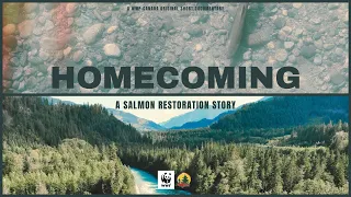 Homecoming: A Salmon Restoration Story