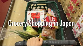 summary of shopping trips in Japanese supermarket for late September