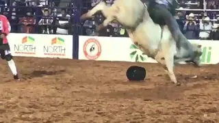 Rodeio de Barretos 2018