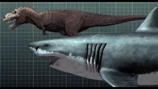 Megalodon is alive! Prehistoric shark found in the Mariana Trench