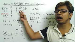 Amino acid charge at different pH and amino acid titration calculation problems