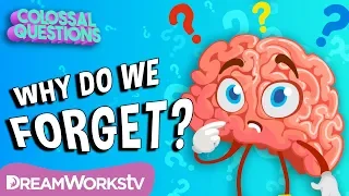 Why Do We Forget Things? | COLOSSAL QUESTIONS