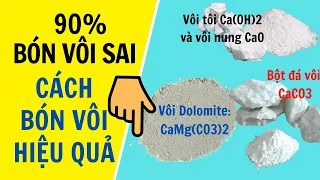 Hướng dẫn sử dụng vôi hiệu quả || cách sử dụng vôi cho cây ăn quả hiệu quả || Nên bón loại vôi nào