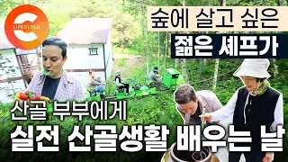 '귀촌은 낭만이 아니라 실전' 살기에 적당한 곳을 찾기 위해 주말마다 전국의 산을 누빈 노부부의 자작나무 숲에서 배우는 산골생활 체험기🌳ㅣ어느 셰프의 로망ㅣ강원도 횡성