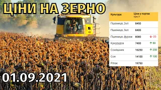 Ціни на зерно! Пшениця знову дорожчає. Соя подешевшала на 4500 грн. Ріпак подорожчав на 500-600 грн.