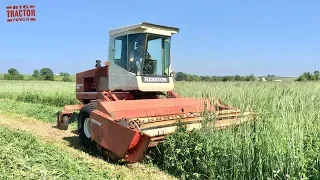 Hesston 6610 Swather