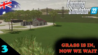 Western Australia Ep 3     Our grass field is looking well     Farm Sim 22