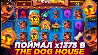 ПОЙМАЛ ЗАНОС НА 1000X В DOG HOUSE MEGAWAYS ОДНОЙ БОНУСКОЙ | ЗАНОС DOG HOUSE | ЗАНОСЫ НЕДЕЛИ