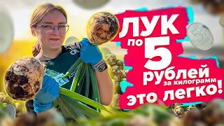 ТАКОЙ ЛУК ВЫ ЕЩЕ НЕ ВИДЕЛИ!