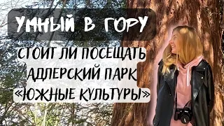 АДЛЕР. ЮЖНЫЕ КУЛЬТУРЫ. Стоит ли посетить парк "Южные культуры"?