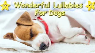 Sleep Music For Your Dog and Puppy ♫ Relax Your Dog Effectively ♥ Lullaby For Dogs