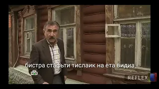 Быстро поставьте дизлайк на это видео