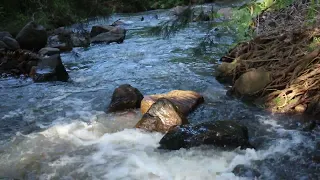 ASMR 4K The power of water dancing over rocks always relaxes me