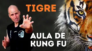 Aula: Animais do Kung Fu - Tigre