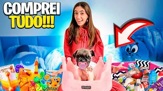 PRIMEIRAS COMPRAS PARA MINHA CACHORRINHA | GABI VIEIRA E LUA