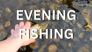 EP 37 - EVENING ON THE WHARFE