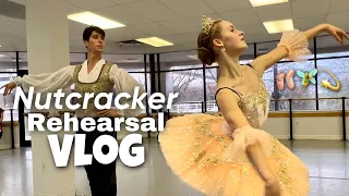 NUTCRACKER Rehearsals with 5 Sisters: from the sugar plum fairy to snow queen!🩰