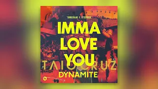 Taio Cruz vs. Tungevaag & Steerner - Dynamite (Extended Jablonski Imma Love You Edit)