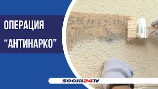 В Сочи продолжают бороться с наркотиками