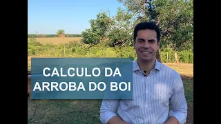 ARROBA DO BOI | APRENDA A FAZER O CÁLCULO