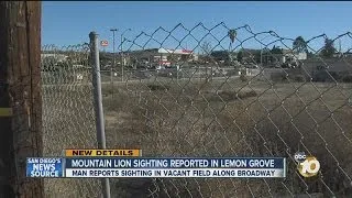 Shoppers react to reported mountain lion sighting near shopping center