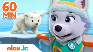 PAW Patrol Best Snow Rescues & Adventures! w/ Everest & Chase | 60 Minute Compilation | Nick Jr.