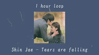 [1 Hour Loop _ 1 시간] Shin Jae (신재) - Tears Are Falling (눈물이 난다) [49 Days OST]