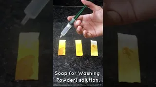 DIY Turmeric Indicator [Homemade]🧪 | Class 10 Science Chapter 2 (Acids, Bases and Salts) | #Shorts