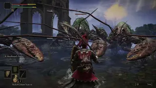 Getting killed by giant lobsters ELDEN RING