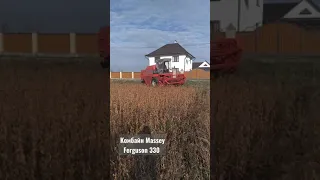 Massey Ferguson 330 молоте сою