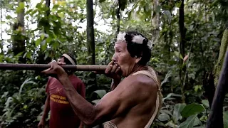 La lucha de los guerreros wao contra petroleras en la Amazonía