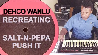 DEHCO WANLU RECREATING SALT-N-PEPA  -  PUSH IT