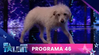 Programa 46 (1/11/2023) - Got Talent Argentina 2023
