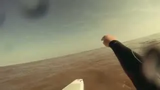 Seal At Mablethorpe While Surfing