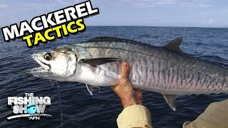 Mackerel Tactics