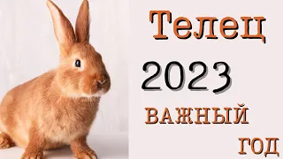 Телец - гороскоп на 2023 год ! Год грандиозных возможностей !