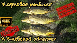 Рыбалка 2021. Карповая рыбалка в Киевской области!