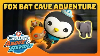 Octonauts: Above & Beyond - 🦊 Fox Bat Cave Scouting Adventure 🦇  | Compilation | @Octonauts​