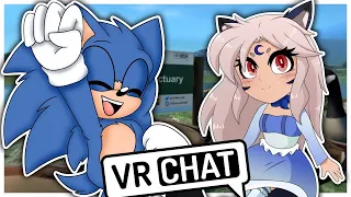 SANCTUARY MEETING...Yina Meets Movie Sonic at a Bird Sanctuary (ft. ...Ducks & Geese) - VRChat