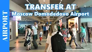TRANSFER AT A RUSSIAN Airport - What's a Transfer like at Moscow Domodedovo Airport?