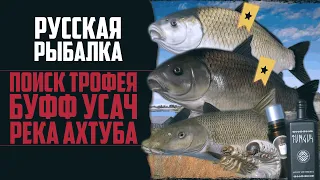 Трофейная Рыбалка | Буффало + Осётр | Река Ахтуба 🔴 Русская Рыбалка 4