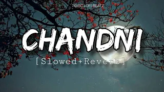 CHANDNI Love ❤️ Lofi Song || Slowed and Reverb || Special Viral Song || @TOXICLOFIBEATZ